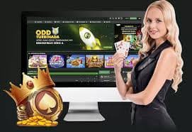 Fitur auto-daub dan live chat room Bingo Pola54 untuk pengalaman bermain yang lebih seru